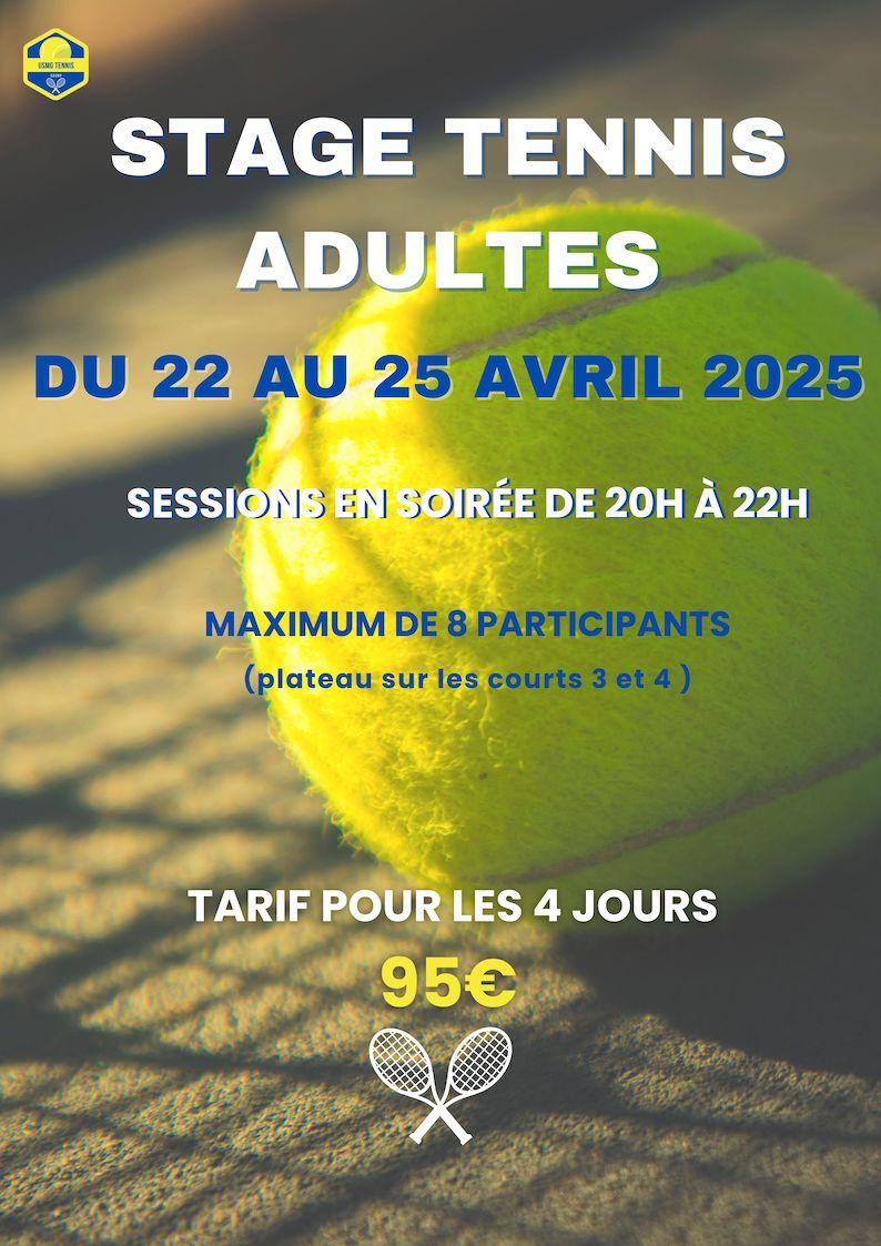 Stage tennis adulte